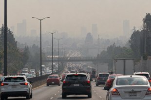 Las restricciones vehiculares estarán vigentes de las 5:00 a las 22:00 horas.
