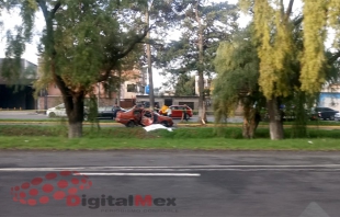 Muere mujer al chocar contra árbol en Tollocan