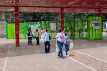 Lectura, actividad física, tareas del hogar y visitas a espacios públicos son algunas de las alternativas para mantener activos a niñas y niños durante el receso escolar.