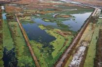 Se espera la zona funcione como un vaso regulador hídrico en el Valle de México que resguarde y sirva de hábitat para más de 600 especies de flora y fauna.