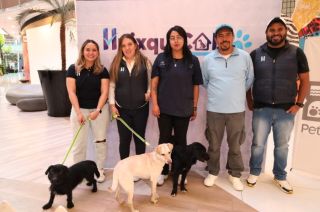 El Centro de Atención y Protección Animal “Huixquican” abrió sus puertas en octubre pasado y tiene capacidad para albergar a 500 perros