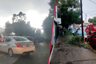 #Video: ¡Precaución! Tormenta y granizo derriban más árboles en #Toluca