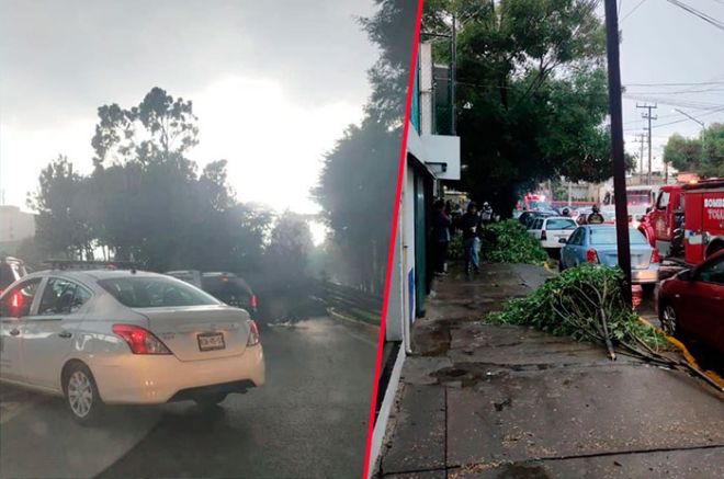#Video: ¡Precaución! Tormenta y granizo derriban más árboles en #Toluca