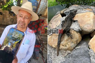 Don Teódulo Vences Jaimes asegura que el iguanario “La Ceiba” continúa cumpliendo con su misión de preservar la iguana negra.