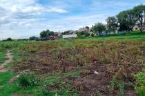 En #Edoméx, estrés hídrico afectó los cultivos