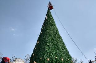 El árbol está situado frente al Jardín Botánico Cosmovitral a un costado de la entrada a la exposición de Van Gogh Alive.