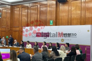 Hasta 2015 el Estado de México era un modelo a nivel nacional en el que había una ley de avanzada 