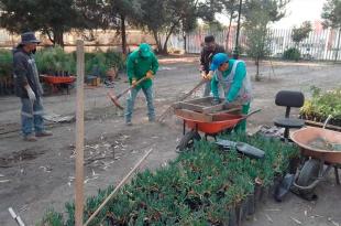 Reforestará #Metepec zonas más vulnerables a inundaciones