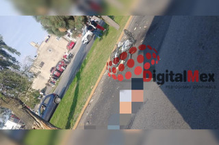 Los bikers habrían perdido el control y se impactaron contra un árbol, donde quedaron tendidos sin vida sobre el asfalto.