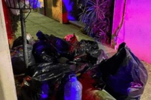 Se localizaron bolsas de plástico con animales muertos.
