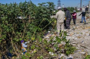 Empresas, servicios de limpia y habitantes tiran basura en la zona. 