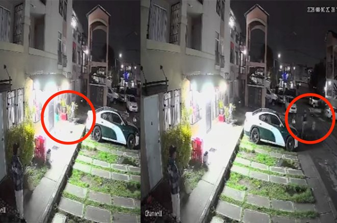 Cámaras de videovigilancia registraron el momento en que el hombre se acerca al animal y presuntamente dispara en varias ocasiones.