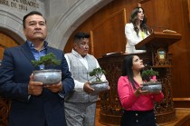 La Diputada explicó que esta actividad pasó de ser tala hormiga a tala organizada; un negocio criminal operado por redes de la delincuencia