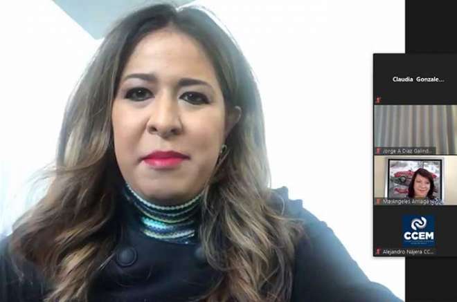 María de los Ángeles Arriaga, representante de la Asociación Mexicana de Distribuidores de Automotores