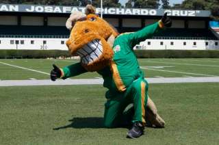 Kuako, finalista del Torneo Mundial de Mascotas universitarias