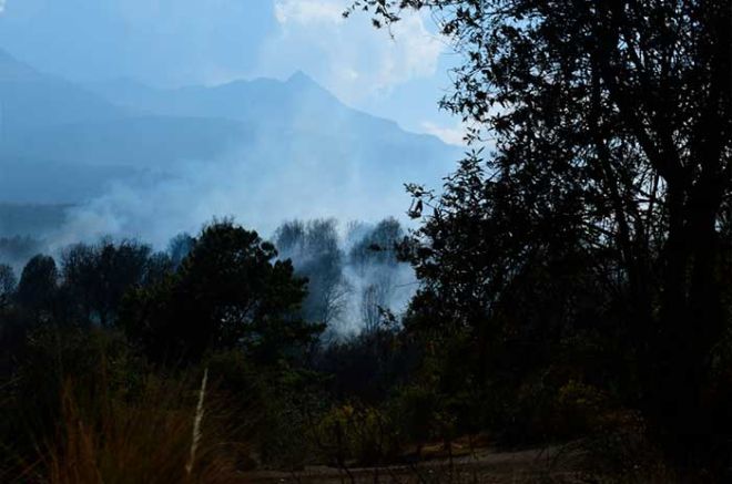 Registra entidad, de enero a la fecha, 220 incendios forestales
