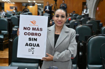 Ruth Salinas Reyes presentó ante el pleno su propuesta de compensación por falta de agua