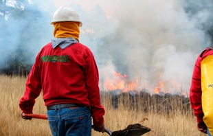 Edomex, entre los cinco en detectar y atender incendios forestales