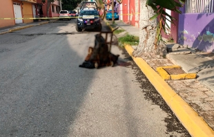 Día de tianguis y les dejan un “diablito” con un cadáver, en #Ecatepec