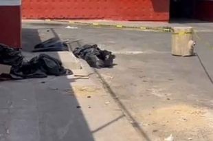 Vecinos de la alcaldía Gustavo A. Madero hicieron el hallazgo mientra realizaban una jornada de limpieza.