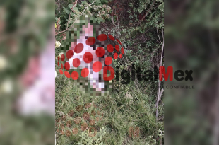 Cuerpo de un hombre fue localizado en avanzado estado de descomposición, oculto entre la maleza en San Pedro Tlanixco, Tenango del Valle.
