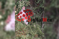 Cuerpo de un hombre fue localizado en avanzado estado de descomposición, oculto entre la maleza en San Pedro Tlanixco, Tenango del Valle.