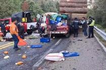 El accidente se registró sobre el kilómetro 75, en el paraje conocido como &quot;La Dieta&quot;.