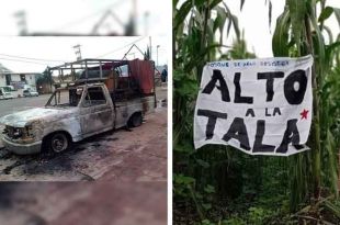 Los hechos ocurrieron cuando vecinos descubrieron una unidad que transportaba madera de manera ilícita.