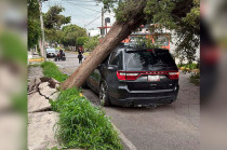 Autoridades municipales y personal de Protección Civil realizan recorridos en la zona para evaluar daños y prevenir nuevos incidentes.