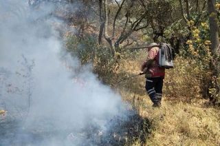 Labores para sofocar incendios forestales