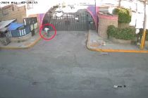 #Video: Se busca a hombre que golpeó a lomito en #Tultepec