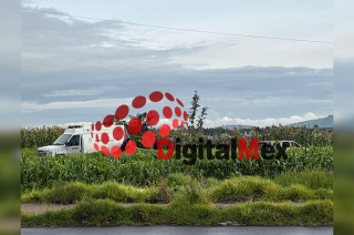 Debido al estado en que fue encontrado, no fue posible determinar su sexo ni su edad.