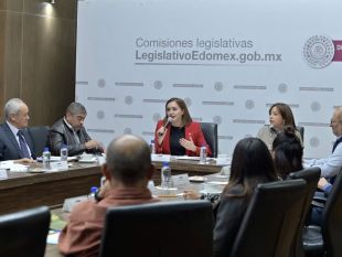 Diputados analizan la propuesta de ley