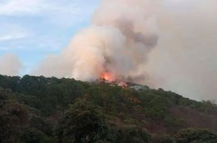 ¡Atención! Combaten fuerte incendio en bosque de #Tejupilco