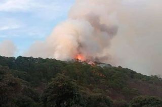 ¡Atención! Combaten fuerte incendio en bosque de #Tejupilco