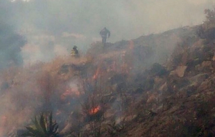 Controlan bomberos de Toluca incendio en parque Sierra Morelos