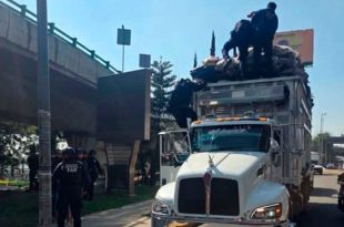 Autoridades acordonaron la zona e iniciaron investigaciones para esclarecer las causas del percance.