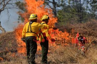 Los voluntarios ponen todo su esfuerzo; sin embargo por su labor tan prolongada ya se encuentran muy cansados