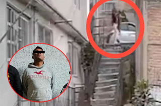 Video: Capturan a sujeto por arrojar por escaleras a “Lobito”, perro maltratado en Naucalpan