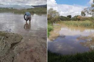 Campos de cultivo inundados