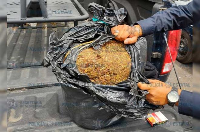 Hallaron en el área de maleteros una bolsa con droga.