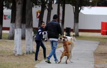 Reconocen toluqueños que la tenencia responsable de mascotas es tarea de todos