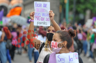 Las legisladoras exigieron una estrategia más eficaz, transparente y urgente para proteger a las mujeres.