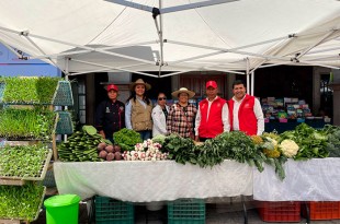 El programa también ofrece apoyo logístico y capacitación a los vendedores
