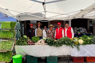 El programa también ofrece apoyo logístico y capacitación a los vendedores