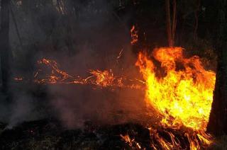 El fuego pudo haberse iniciado de manera intencional