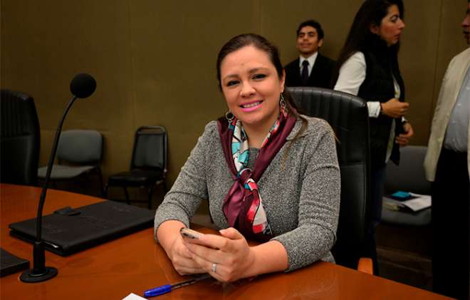 Así lo dio a conocer la presidenta provisional del Instituto Electoral del Estado de México (IEEM) 