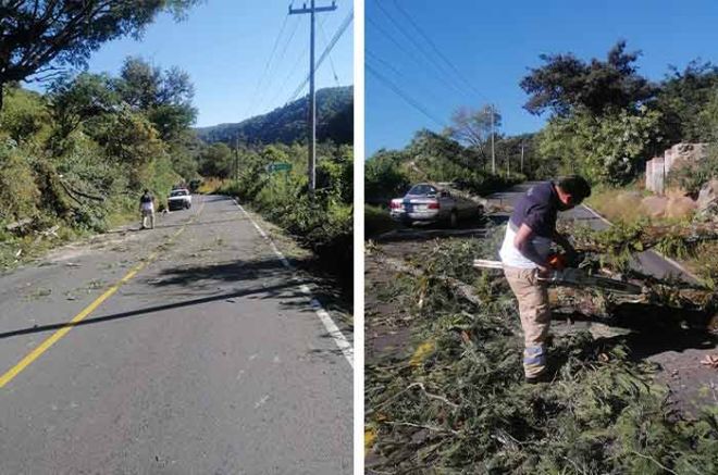 Elementos de Protección Civil del municipio de Temascaltepec atendieron el reporte.
