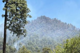 Reportan control del 100 por ciento del incendio forestal en San Lucas Texcaltitlán, municipio de Donato Guerra.