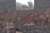 El fuego se detectó en la comunidad de El Llano, en el paraje conocido como El Caballito. 
